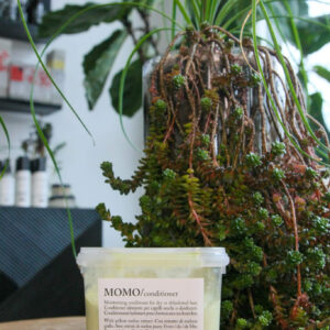 Momo Conditioner