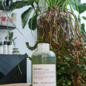 Momo Shampoo