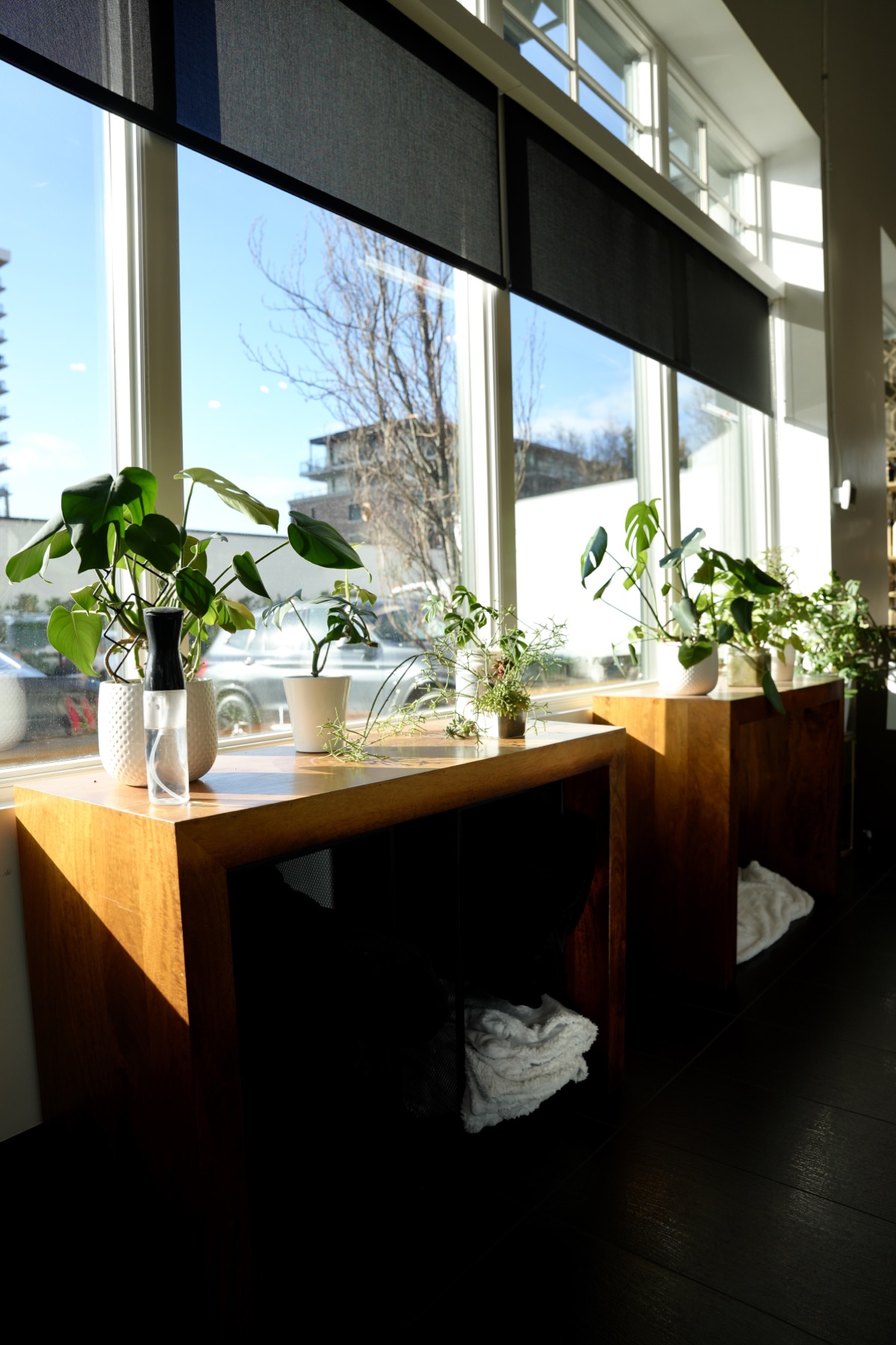 Best Kelowna Hair Salon: Sunlit wood counters and plants along the salon windows