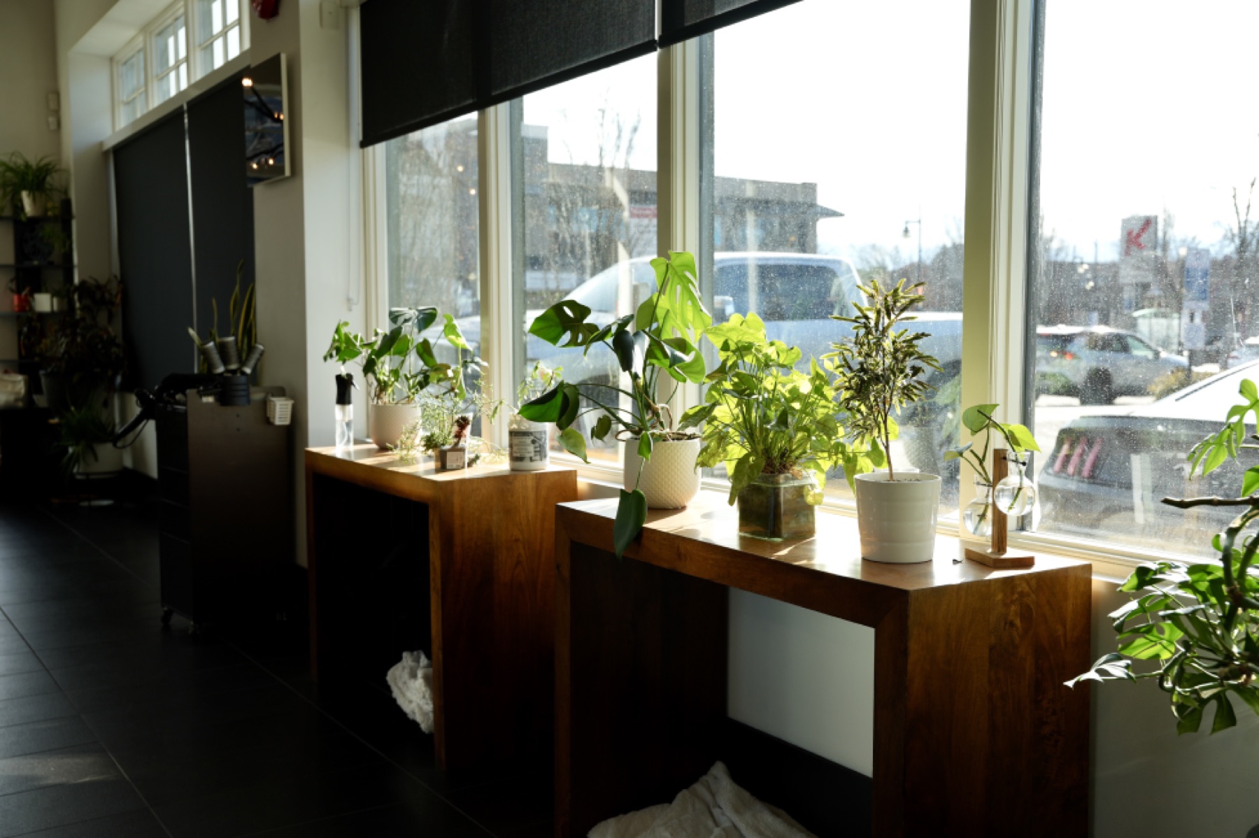 Best Kelowna Hair Salon: Wood window counters lined with potted plants