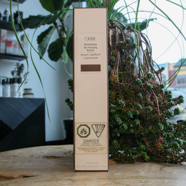Mod_Salon_Product_Grandoise_Hair_Plumping_Mousse.jpg