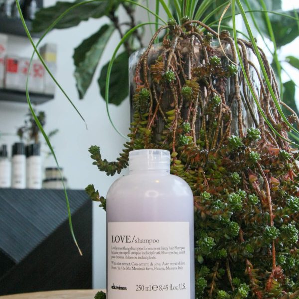 Mod_Salon_Product_Love_Shampoo.jpg