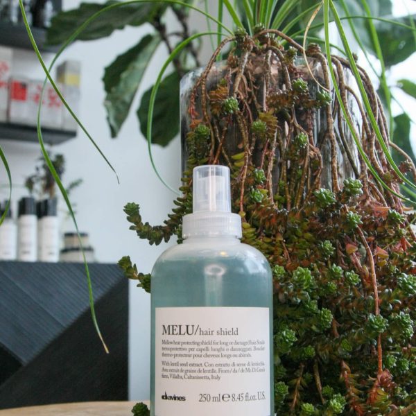 Mod_Salon_Product_Melu_Hairshield.jpg