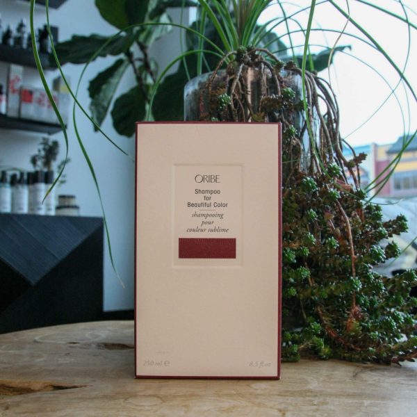 Mod_Salon_Product_Shampoo_for_Beautiful_Color.jpg